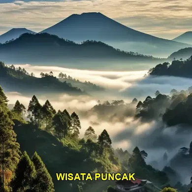 Puncak Bogor, wisata Puncak, keindahan Puncak Bogor, tempat wisata Bogor, alam Puncak, eksplorasi Puncak Bogor, destinasi Puncak, kuliner Puncak Bogor, aktivitas outdoor Puncak, fasilitas wisata Puncak, spot foto Puncak, penginapan Puncak Bogor, perjalanan ke Puncak, suasana sejuk Puncak, kegiatan keluarga Puncak, trekking Puncak, taman hiburan Puncak, kebun teh Puncak, tempat santai Bogor, pemandangan alam Puncak.